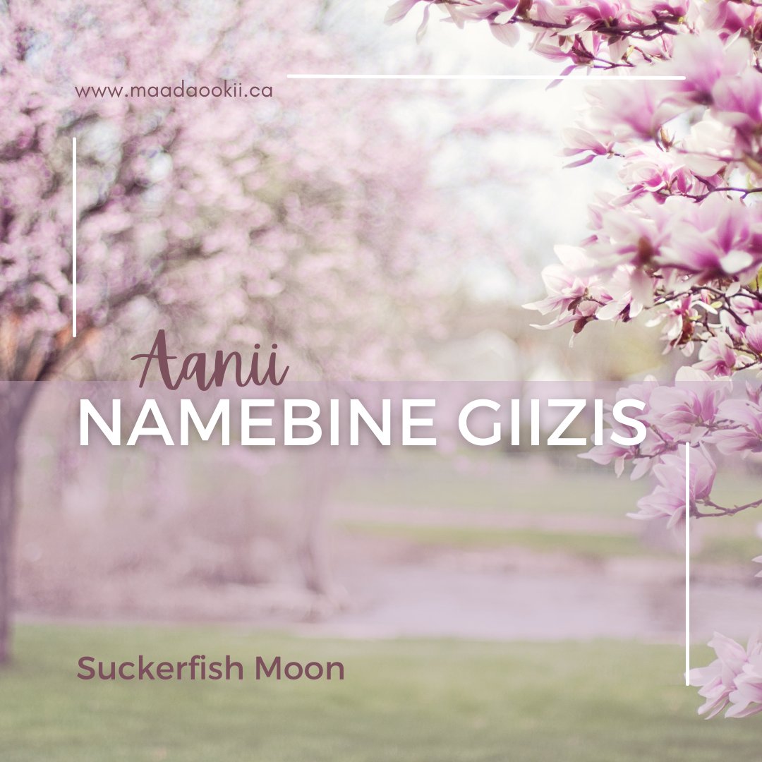 Hello May!

#Anishinaabemowin #NamebineGiizis #GoodbyeApril