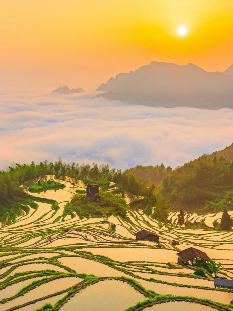 Sunrise, sea of clouds, terraced fields. 📍Yunhe, Lishui.