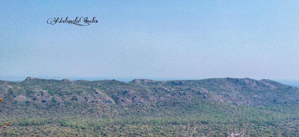 ~ 2 Ancient caves discovered in Udaygiri Hills ⛰️, Rajgir by tourist guide ~

The first cave is of dimension 60 x 9 x 12 ft & the second one is of 90 x 9 x 9 ft. 

The caves discovered by tourist guide Sanjay Kumar, has been recently visited by archaeologists of @ASIGoI Patna.