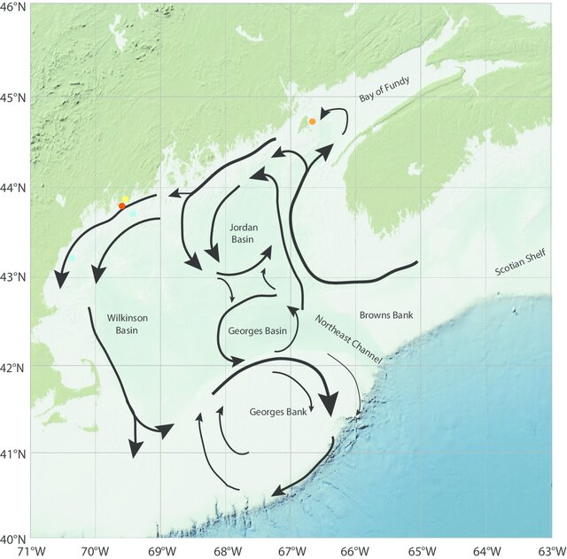 Gulf of Maine currents are, like rivers, water moving en masse. But windpowered.  Seasonally moving sealife. Like rivers, the GOM's currents need 'legal personhood' defense. They must not be so weakened by the parasitic ocean wind energy extractive industry  as to lose coherence.