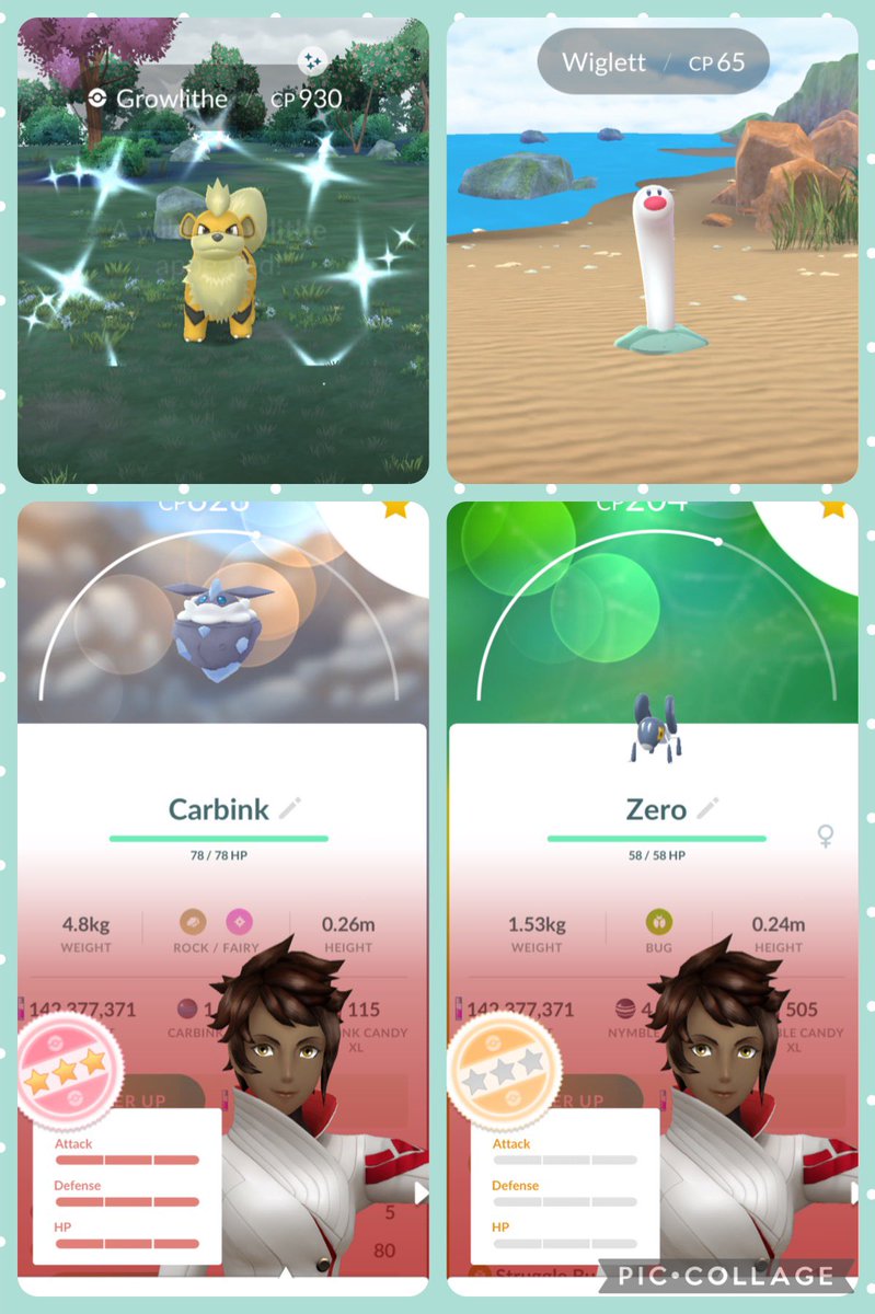 Todays shiny ✨ nundo and a hundo.  Found my first wiglett 🥳 #PokemonGO #ShinyPokemon