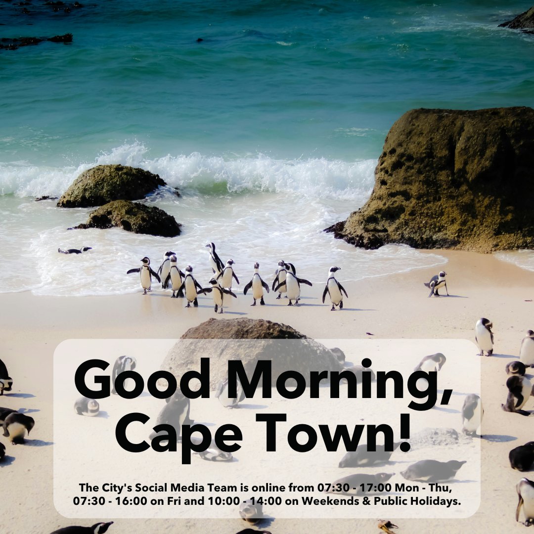 Good morning, Cape Town! The City's Social Media Team is online until 17:00. Let us know how we can help you today.