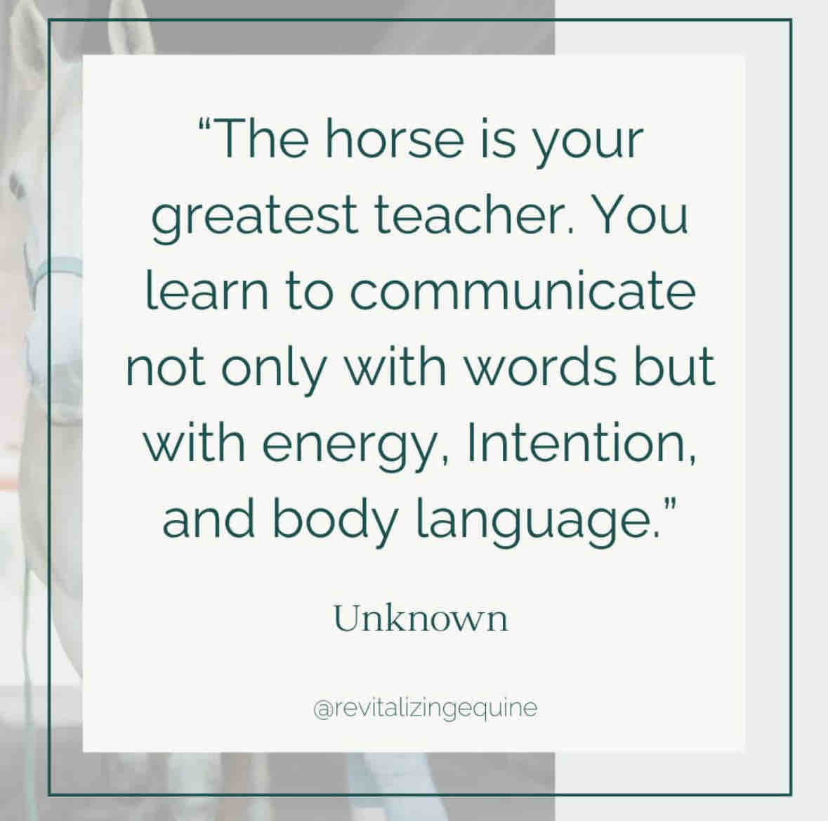 Equine guided learning is an excellent immersive experience that can truly transform thinking, behavior and performance.

#equineguidedlearning #equilibriumconsulting #personalmastery #leadershipdevelopment