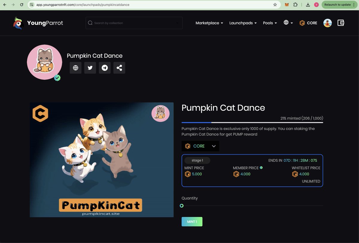 21% is minted in 3 hours😍🥳

Let's see how fast we can finish this NFT launchpad. Let's mint at app.youngparrotnft.com/core/launchpad…🚀🎇

@PumpkinsCat 

#CoreDAO #coretoshi #YoungParrot #YPC