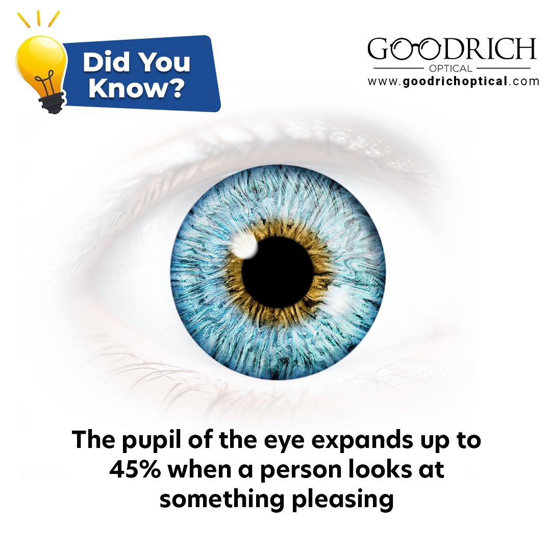 Ever noticed your eyes getting wider when you see something you like? Well, that's because the pupil of the eye can expand up to a whopping 45% when you're looking at something pleasing.
.
#eyecare #DigitalEyeCare #clearvision #Eyeexperts #optometrist #goodrichoptical #widepupil