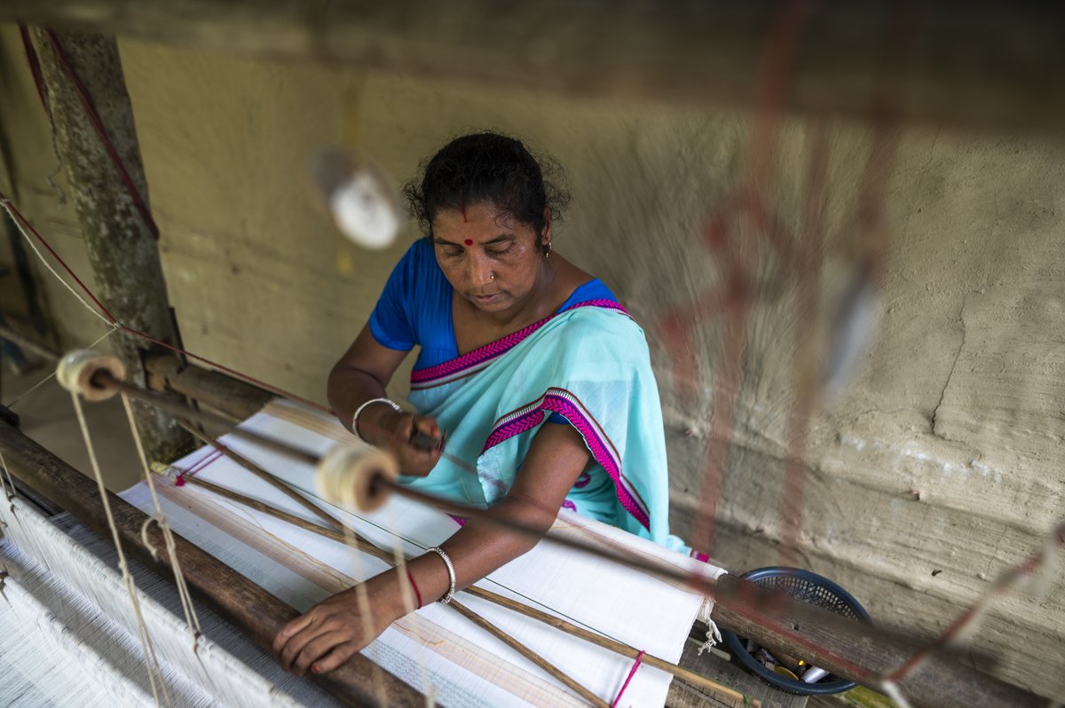 In #Kaziranga, @AFD_en has partnered for 12 yrs with #Assam govt to protect biodiversity & support local communities. Results of this ₹720-Cr project: - 22K hectares reforested - 7,500 skilling program beneficiaries - anti-poaching camps & watch towers to protect wildlife (2/7)