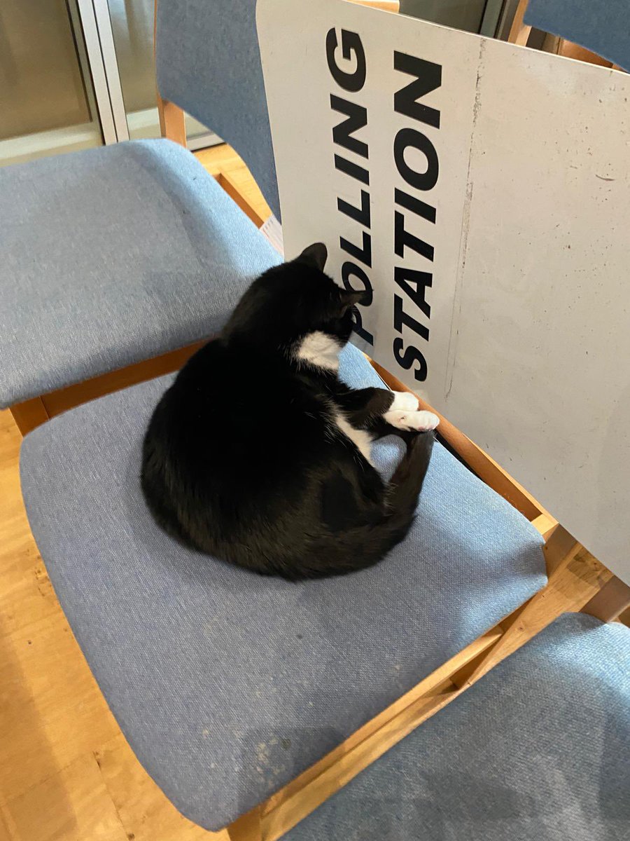 #ThursdayThoughts making sure the electoral process runs smoothly #CatsInPollingStations Remember to bring ID and cat treats