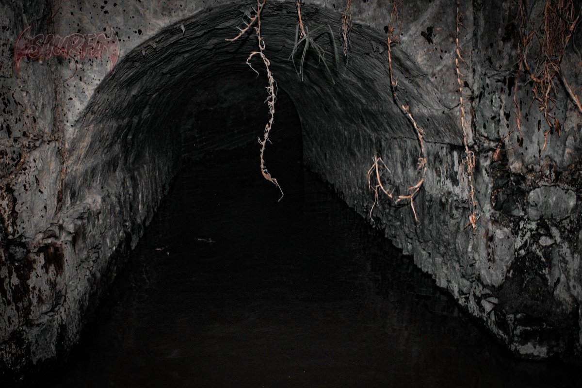 SaurFang15off's tweet image. 4ta foto (casi se me olvida)

"Si te estan metiendo la verga, minimo muevete para que la disfrutes" 
- yo mero