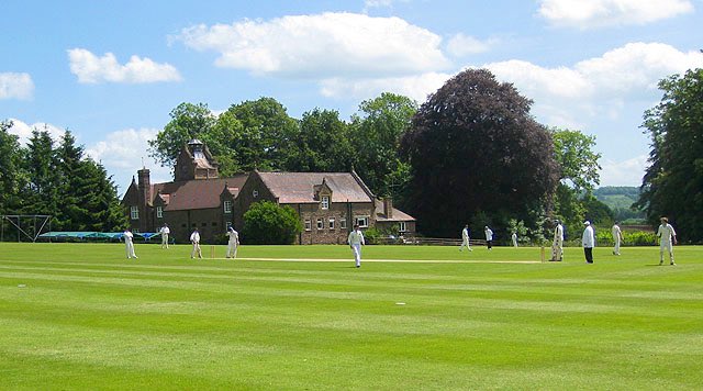 WG RumblePants tweet media