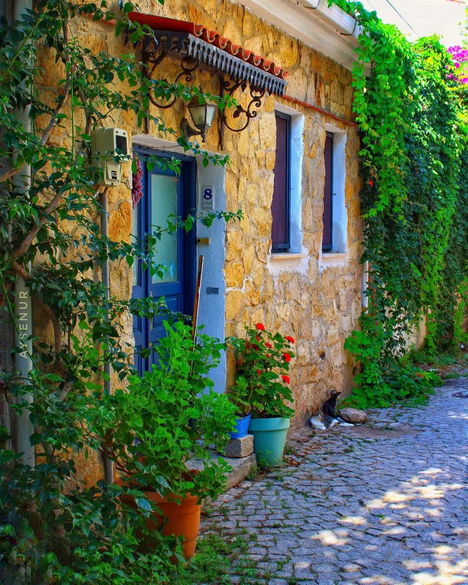 Güzel bir perşembe olsun 😊 Bozcaada’dan kocaman günaydınlar 👋
📸 @gudunfineartgalery 👏🏻#bozcaada #çanakkale #türkiye #turkey #gezgörbence #keşfet #keşfetteyiz