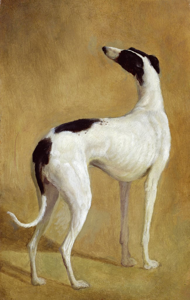 JACQUES LAURENT AGASSE more here: twogreyhounds.com/.../30/jacques… the #sighthound #bulletin #greyhound #sighthoundmuseum #greyhoundlovers #greyhoundart #greyhoundartwork