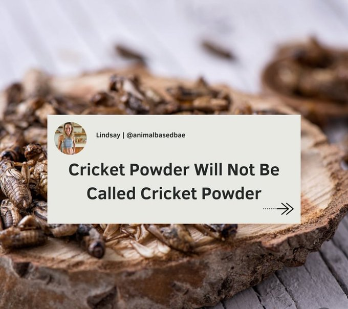Cricket Powder Will Not Be Called Cricket Powder:

It's called Acheta Protein. 

Why do companies continue to rename ingredients, causing confusion for shoppers?

🚨🚨🚨