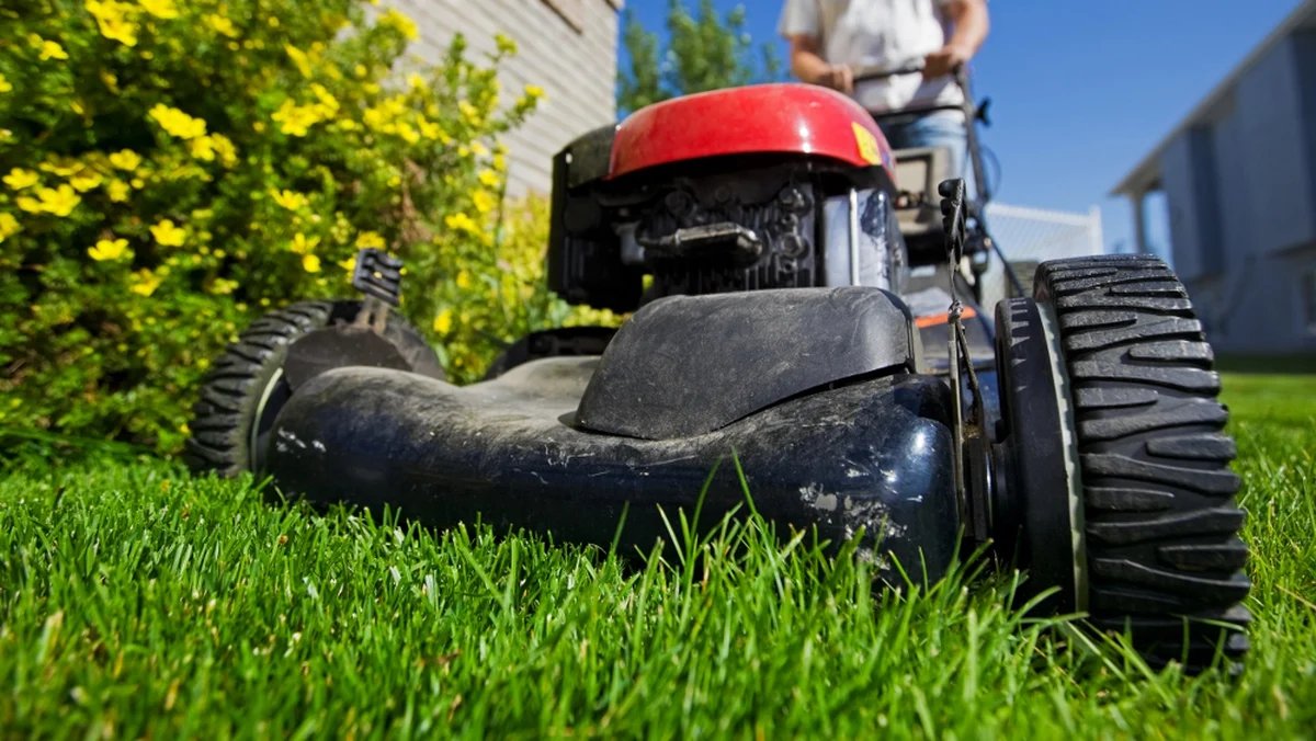 Most read on #RTEBrainstorm: why you need to put away your lawnmover for #NoMowMay. By @paul__holloway @eriucc @UCC rte.ie/brainstorm/202…