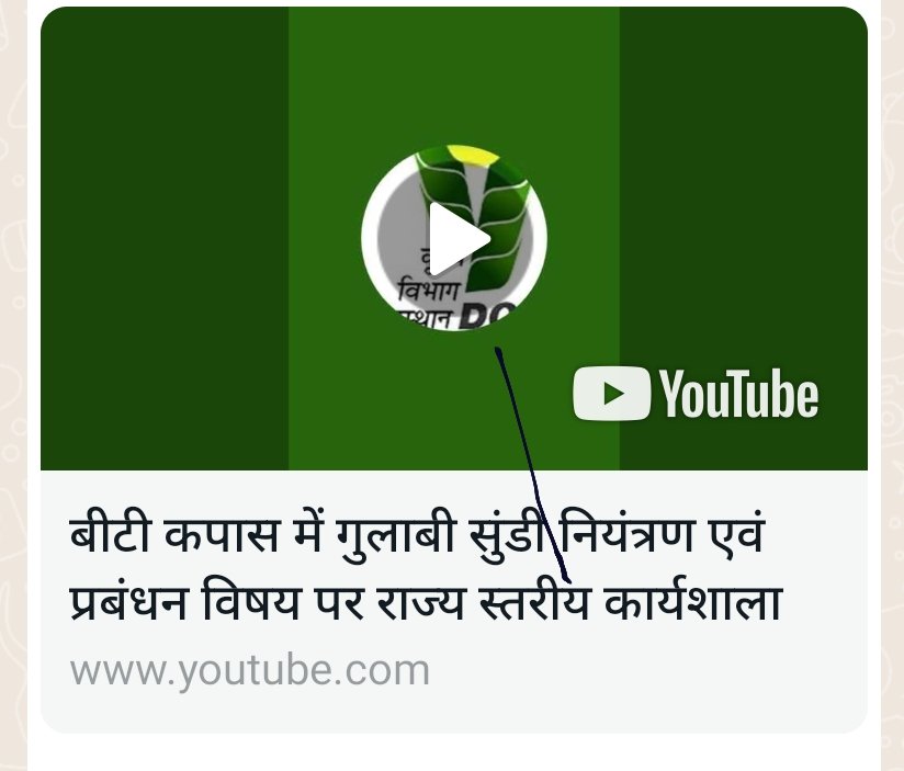 बीटी कॉटन में गुलाबी सुंडी नियंत्रण एवम प्रबंधन पर राज्य स्तरीय कार्यशाला youtube.com/live/Uwm4qrlU3…