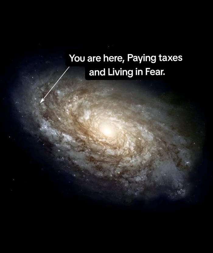 FirewhaleWin's tweet image. 