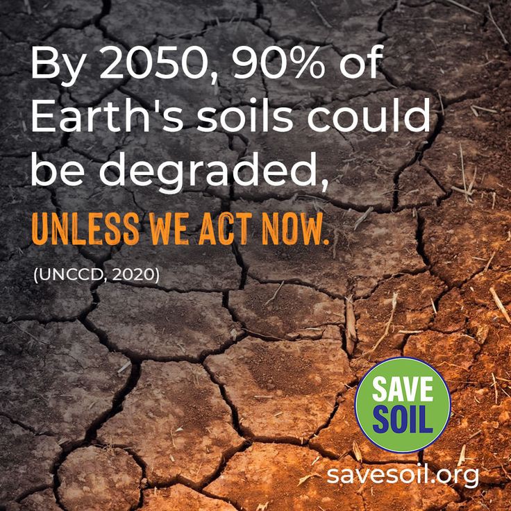 'Unnatural Ways Of Agriculture, Deforestation & other factors have degraded & eroded topsoil at alarming rates'. 
Let's act now before it's too late.
Join & Write 👉🏻 savesoil.org/write
#SaveSoil #SoilForClimateAction #ConsciousPlanet @SadhguruJV @cpsavesoil @ishafoundation