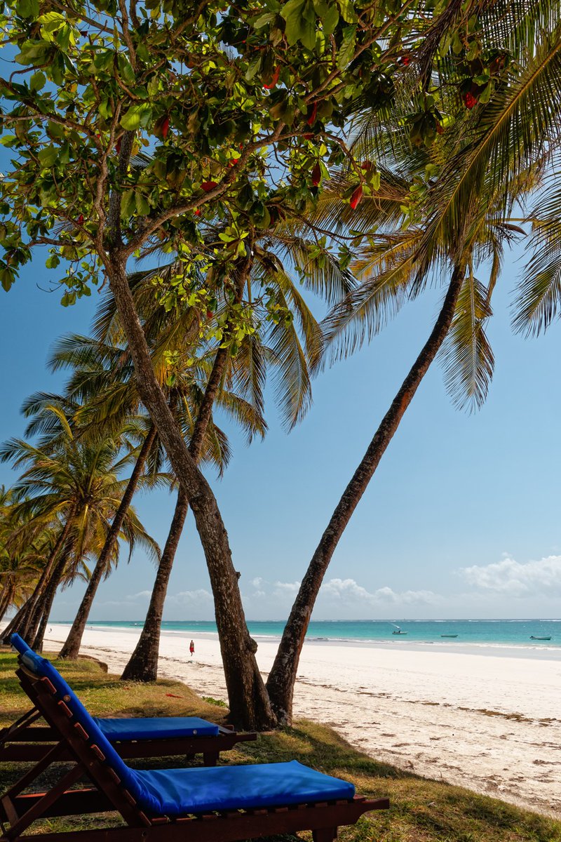 Let @diani_safari be your sunshine amidst the rain.
With warm hospitality and endless stretches of white sand, our sun-drenched shores and vibrant atmosphere offer a perfect escape.
#SafariBeachDiani #ASunnyEscape #ADelightfulPlaceToWander #DianiBeach #BeachEscape