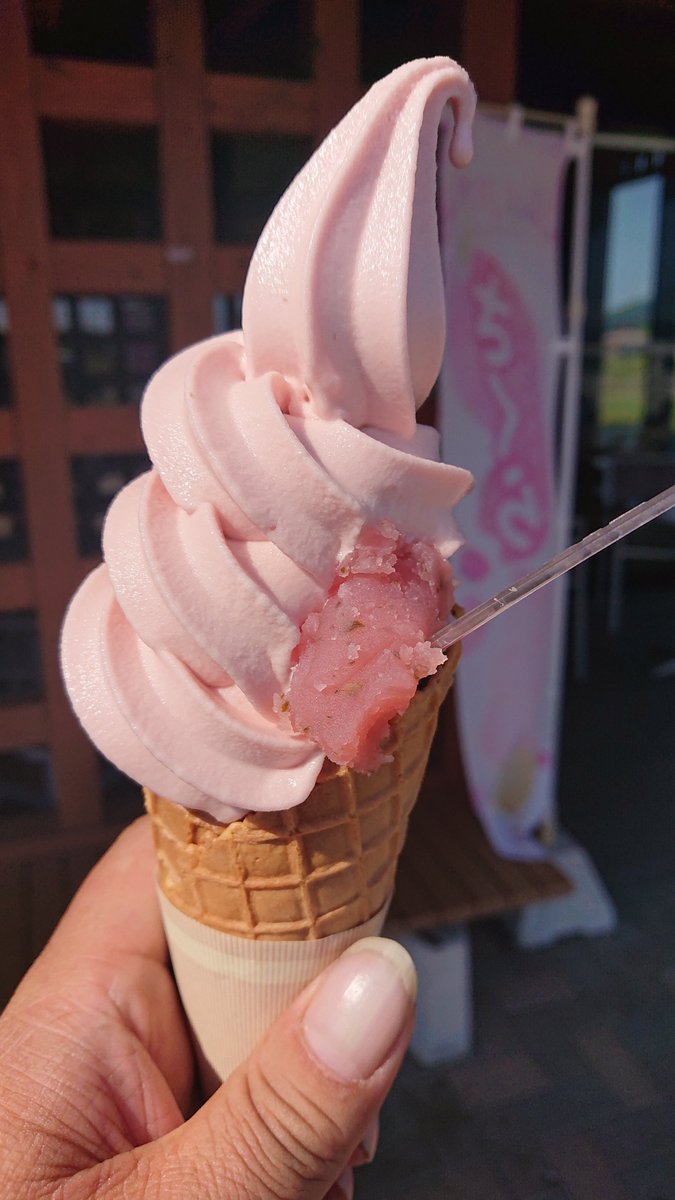 食後のデザートは定番の限定ソフトクリーム🍦
#道の駅かくだ