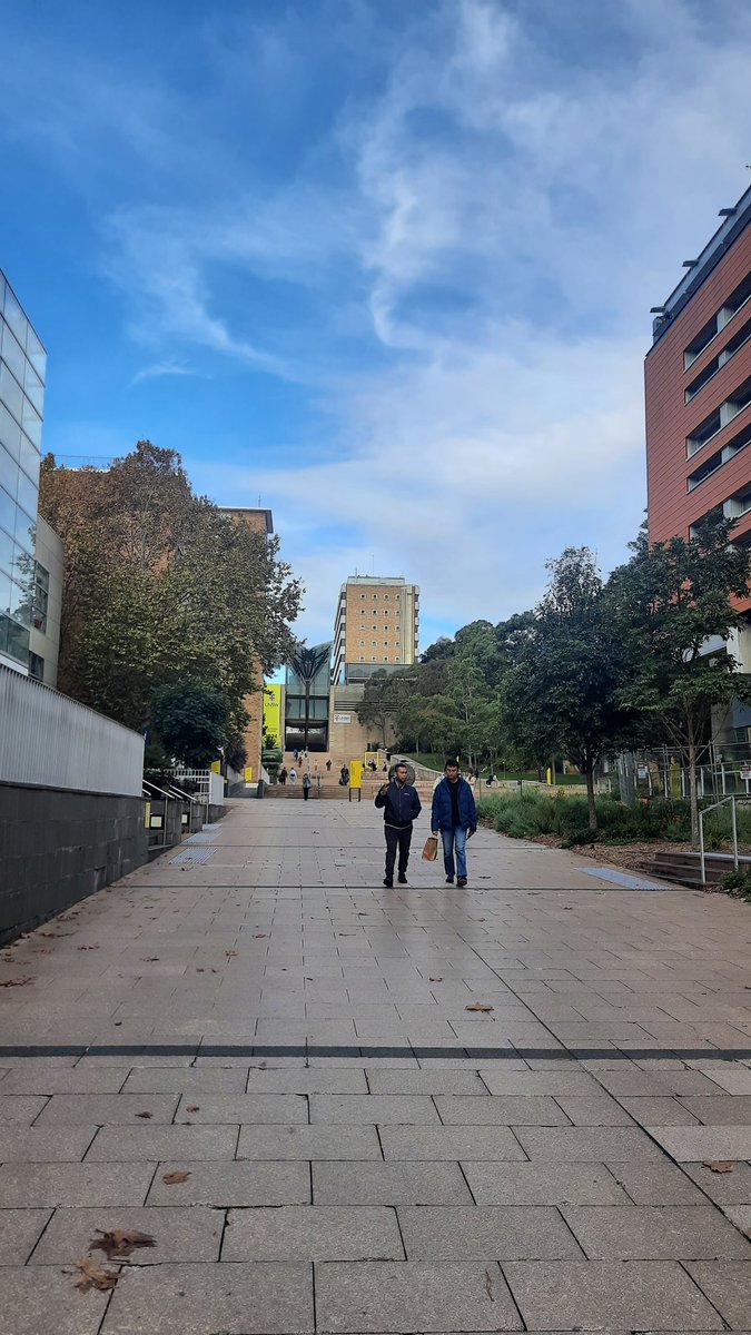 UNSW is better looking than I remembered 🤩