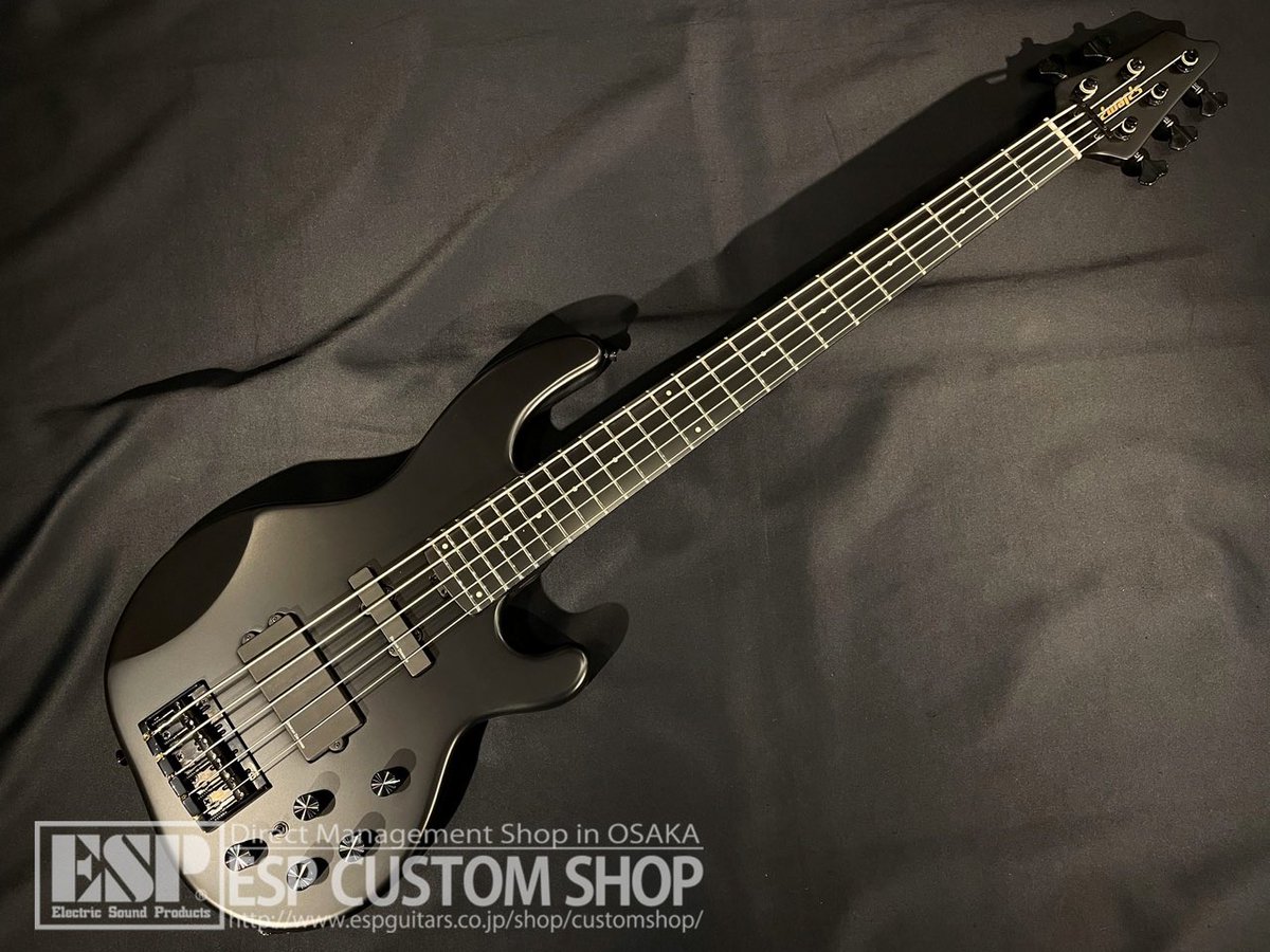 商品情報！】EDWARDS E-Albion STEALTH Black Satin L'Arc～en～Cielの