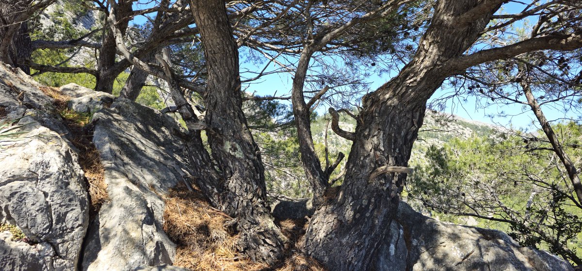 Los recuerdos surgen espontáneamente. Pero no podemos envejecer llorando por ellos.