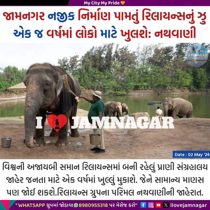 જામનગર નજીક નિર્માણ પામતું રિલાયન્સનું ઝુ એક જ વર્ષમાં લોકો માટે ખુલશે: નથવાણી

#ilovejamanagar #Jamnagar #Gujarat #zoo #Vantara @mpparimal
