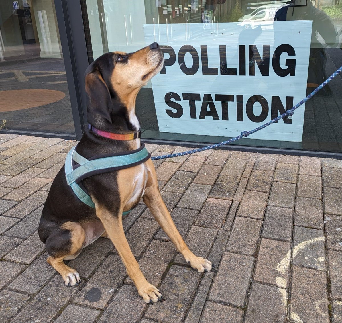 Polling stations are open for the Avon and Somerset Police and Crime Commissioner election and New Cheltenham by-election (where applicable). Your polling station should be printed on your polling card and don’t forget to take voter ID with you. More info:orlo.uk/Voter_ID_fWPLe