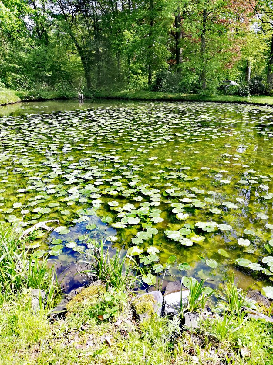 🍀 Mai-Ausflug gestern zum 
Schloss Auel. 🍀🌳☀️