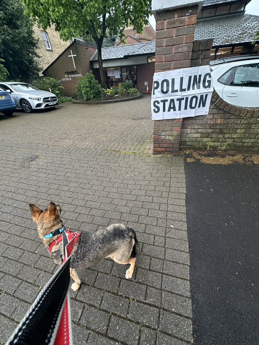 Sorry #SophieFromRomania it’s too early to vote and you’re too flighty for #DogsAtPollingStations