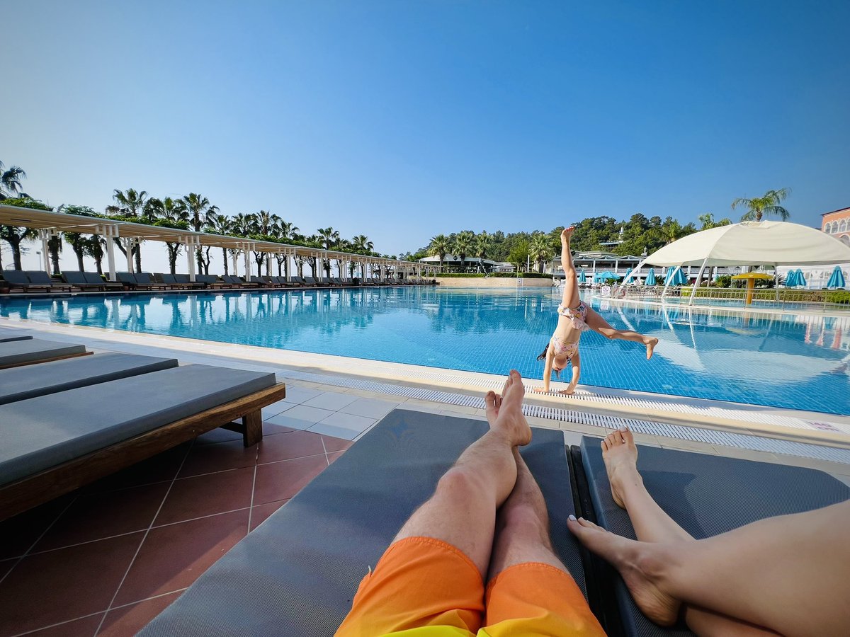 Paul Mit tweet media