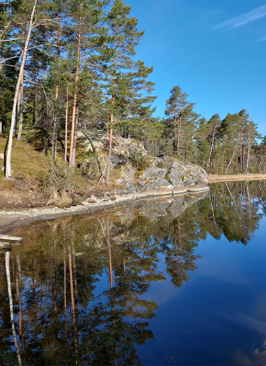 Vesi aika matalalla. Ennen sanottiin, että se tietää hyvää säätä. Mukavaa toukokuun ensimmäistä torstaita 💙💚