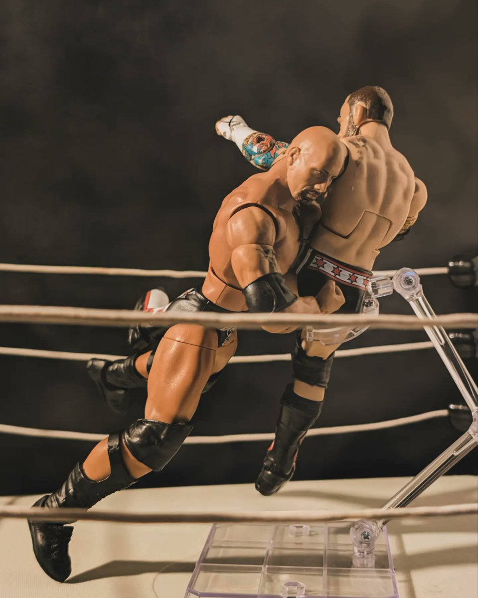 ROCK BOTTOM!

#wwesmackdown #wweactionfigures #wwemattelelite #wweraw #wwe #wwemattel #wwefigures #wweuniverse #therock #thefinalboss #cmpunk #toyphotography #toycollector #photography #macrophotography