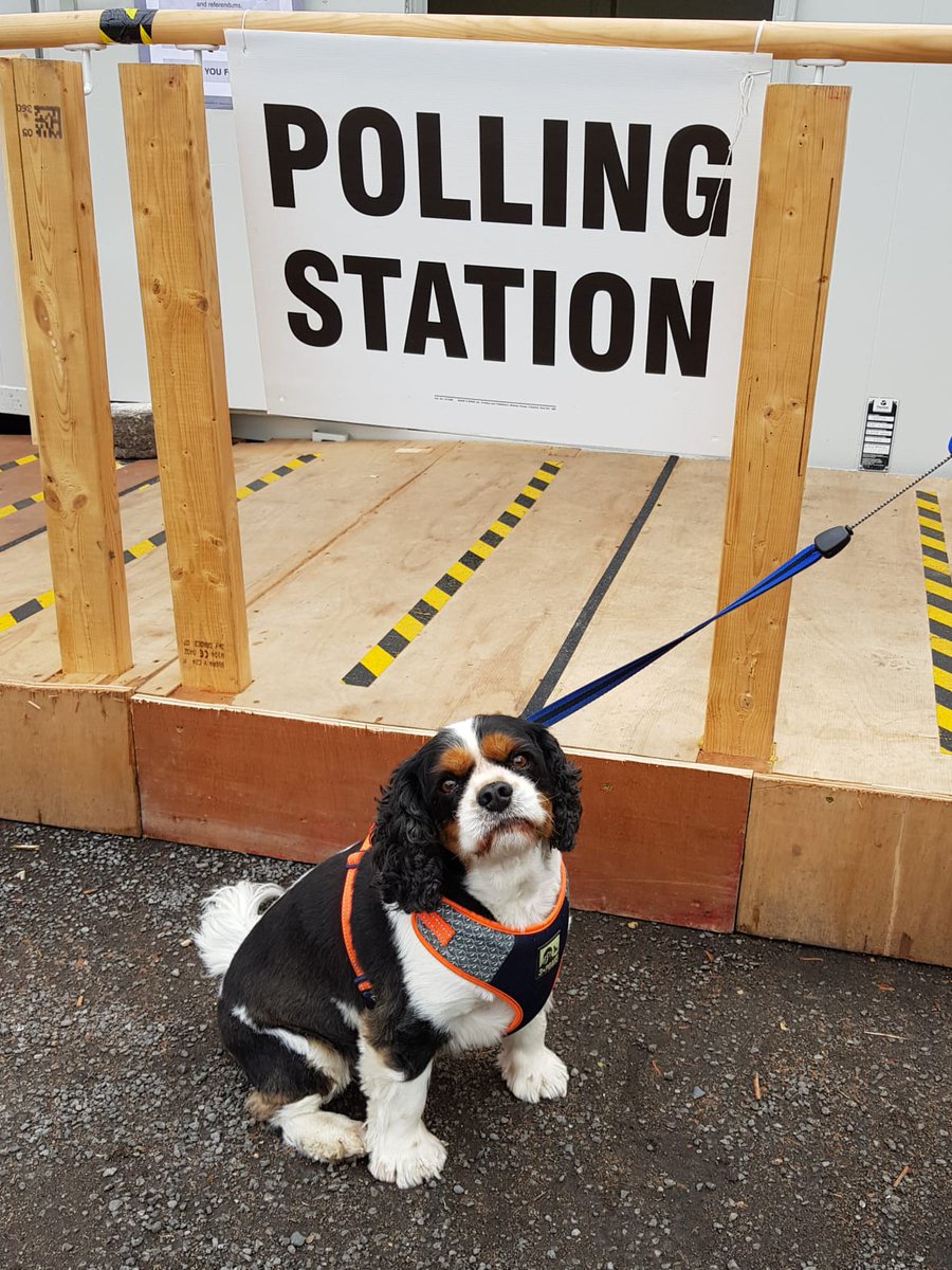 The polls have opened! 🗳️ Cast you vote any time between now and 10pm! Find your polling station at southribble.gov.uk/article/2978/H… - DO NOT forget your voter ID! Also as with election tradition, we want to see your #petsatpollingstations pictures!