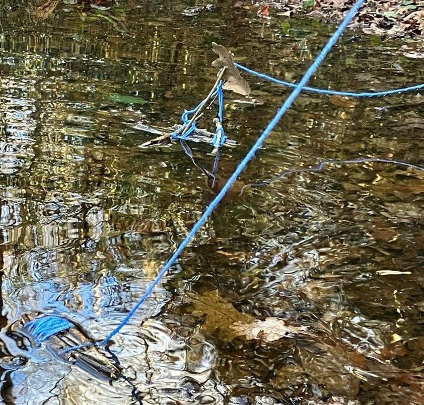 Learning new skills is an important aspect of #ForestSchool @educare_small_school KS2 children learned how they can make rafts and then tested them on the nearby ponds at Ham Woods 💦#Outdoorfun #puddles #rain #Richmond #Kingston #richmondmums #kingston #kingstonmums