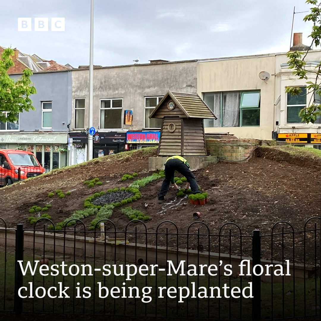 They've started putting the shrubs in 🌱 🪻 🌿 North Somerset Council says planting should be finished next week. The new plants will be 'bee-friendly' and require less watering ➡️ bbc.in/3JGFK2z