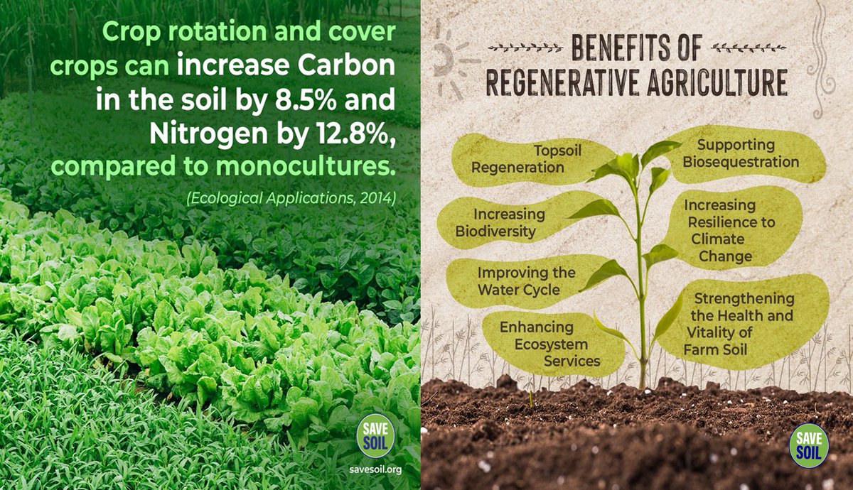 Promote soil carbon sequestration through use of larger root plants, cover cropping, reduced tillage, avoiding over-use of chemical fertilizers and pesticides, erosion control and restoration of degraded soils-UNEP
#cpsavesoil, #SaveSoilFixClimateChange #SoilForClimateAction