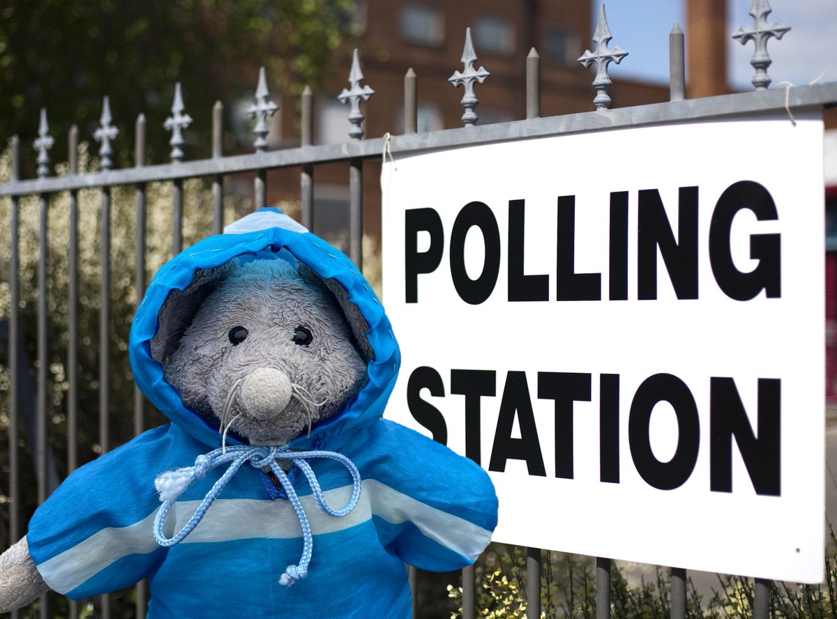 Despite the weather, don't sit on the fence!! It's not just #dogsatpollingstations these days.