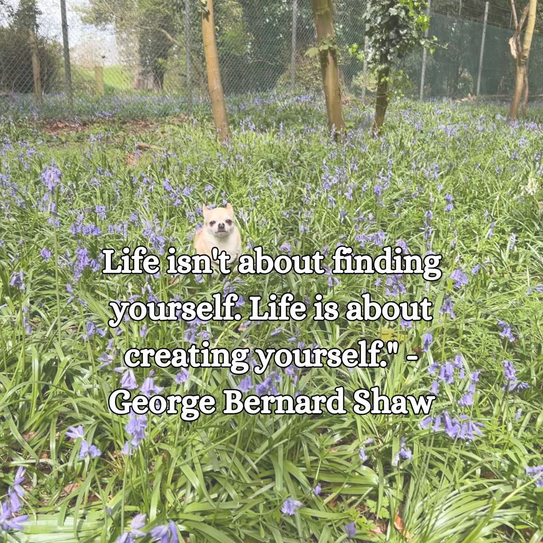 #georgebernardshaw #creatingyourself #beingmindful #beingspiritual #spiritualjourney #spiritualquote #curiousaboutspirit #curiousaboutspirituality #chihuahuaphotography #chihuahuaquotes