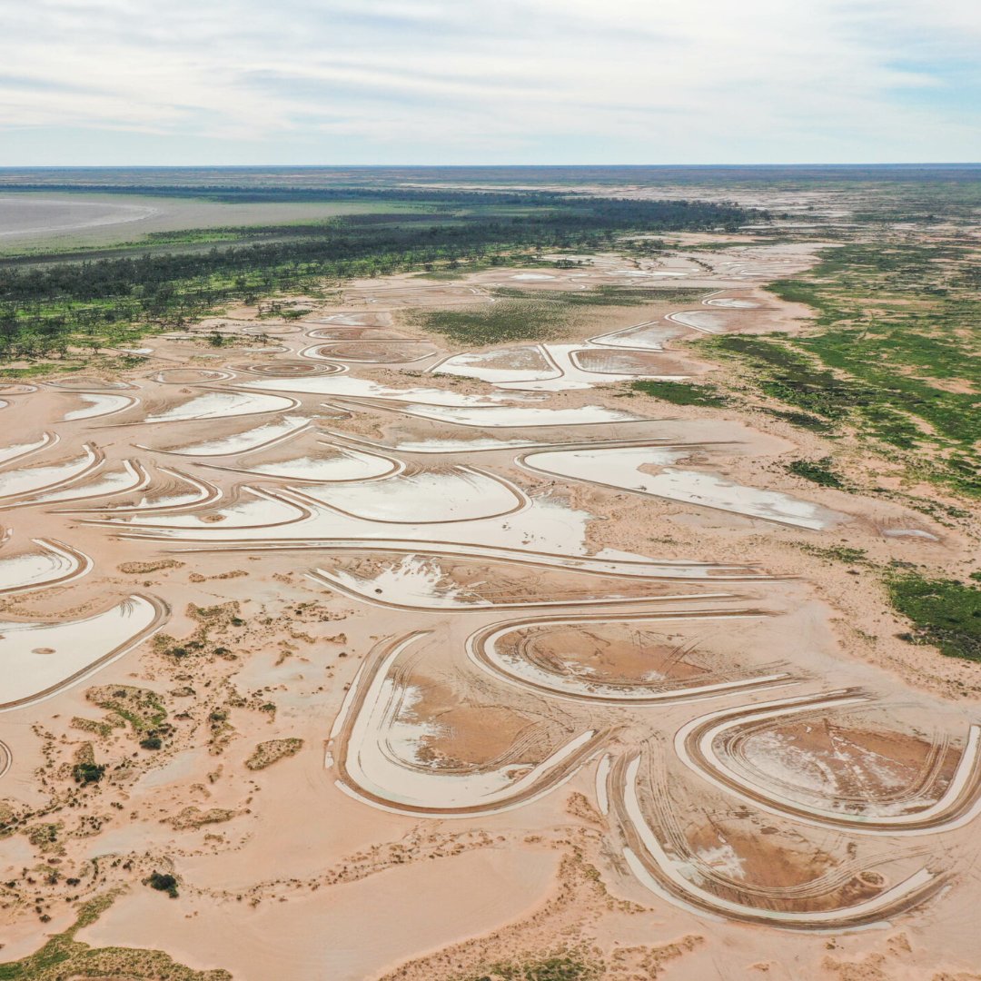 Our latest podcast is out! The semi-arid regions of Australia are often referred to as the ‘rangelands’. Challenging environments, but with rain they can explode with life. What can land managers do to make the most of the rain? Catch it on your favourite podcast app
