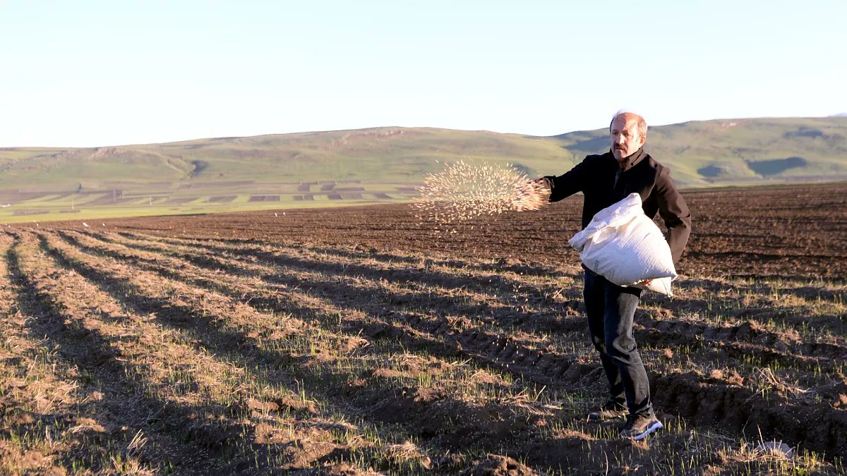 ÇİFTÇİLER BUĞDAYDA 15 TL TABAN FİYAT BEKLİYOR! TMO'dan Talep Edildi! Çiftçiler, yaklaşan buğday hasadı önces... songelisme.com/ciftciler-bugd… #ankara #İstanbul #izmir #manşet #sondakika