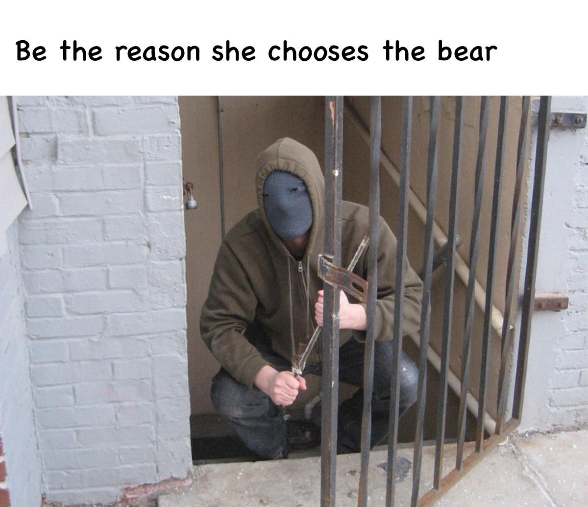 Choose bears