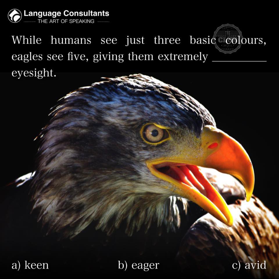 #Language #Consultants play a central role in #BringingTheWorldToYourDoorstep so you can #exchange #ideas, #learn, #think, #create and #collaborate more effectively in #English. #TheArtOfSpeaking #Eagles