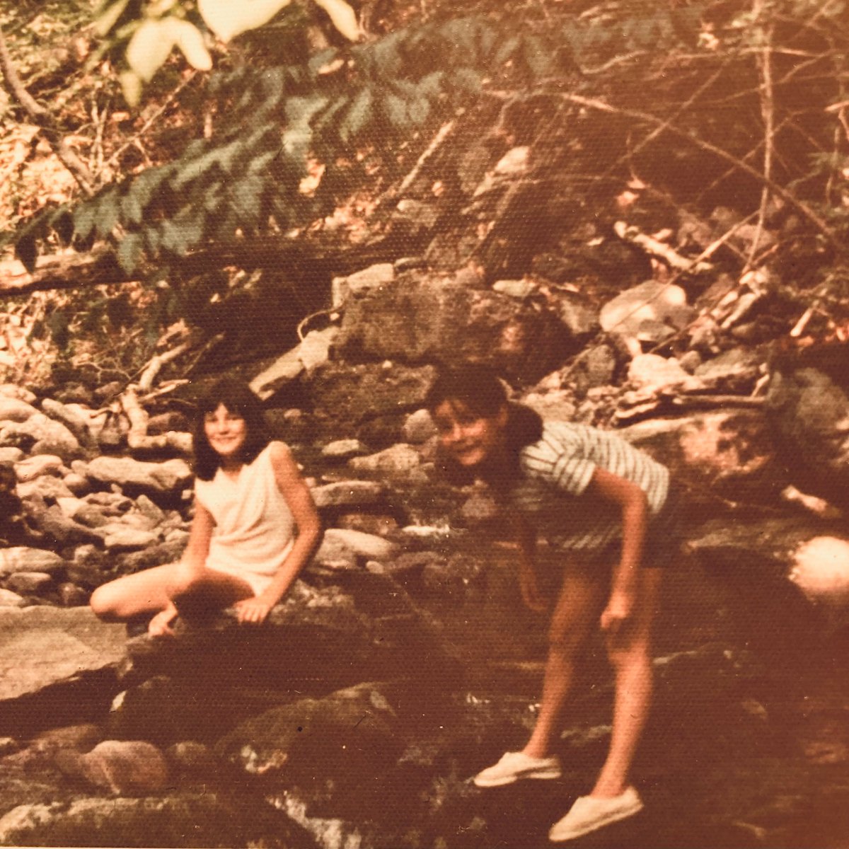 My sister (sitting) and I playing near the Esopus Creek, NY 1973. #Catskills vibe for BIRDEYE @saltpublishing coming 15th May #BookTwitter