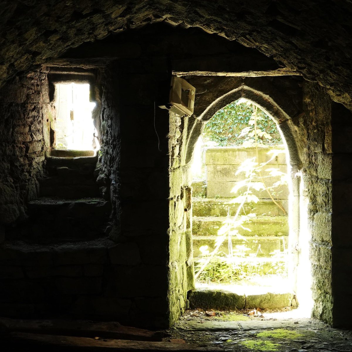 Workington Hall in West Cumbria dates back to around 1404. This is a door and window to a small room, perhaps a store or servant’s room.
#AdoorableThursday