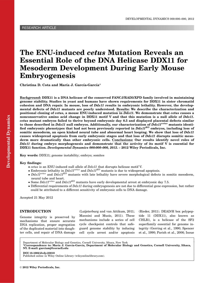 The ENU-induced cetus mutation reveals an essential role of the DNA helicase DDX11 for mesoderm development during early mouse embryogenesis eurekamag.com/research/036/4…