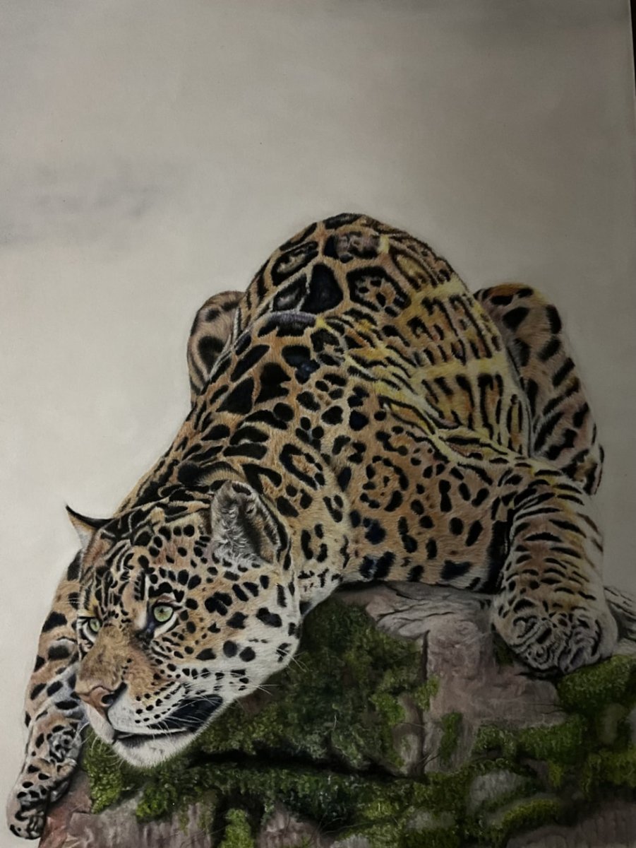 Just look at the detail Emma Frettingham has captured with pastels and pastel pencils in her entry to this year's TALP Open.
If you fancy giving pastels a try we have plenty of help, inspiration and demonstrations for you on Painters Online - bit.ly/3AUqjgB