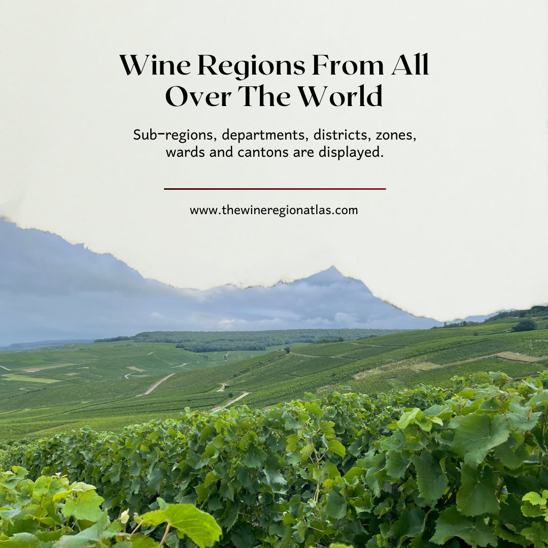 Are you ready for a global wine odyssey with The Wine Region Atlas? 🌍
.
.
#WineExpertise #WineEducation #WineProfessionals