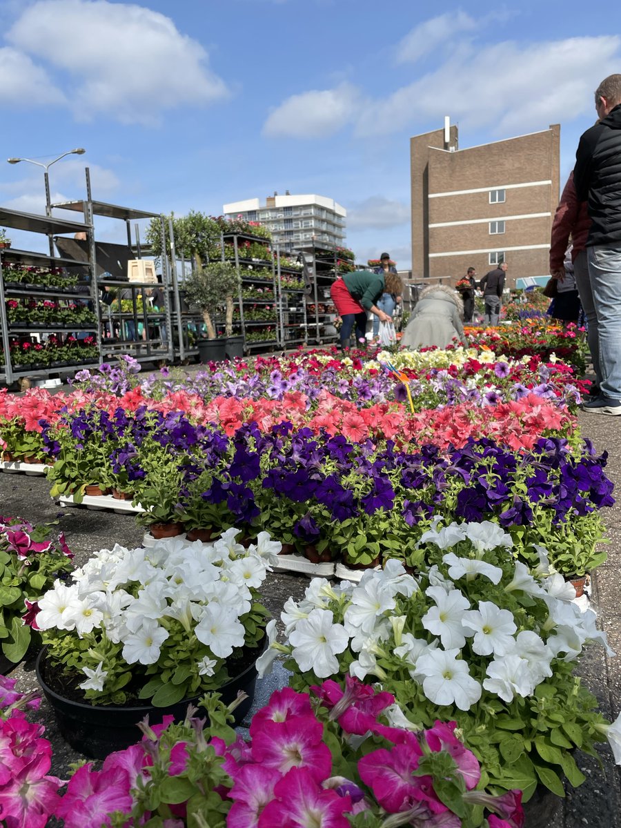 🌻Op Tweede Pinksterdag, 20 mei, is de jaarlijkse bloemenmarkt bij de Crimpenhof. 🌻

Van 7.00 tot 13.00 uur kunt u genieten van bloemen, tuinartikelen en foodtrucks op het Raadhuisplein. 
Let op: tijdelijke wegafsluiting tussen Weteringsingel en Buys Ballotsingel.