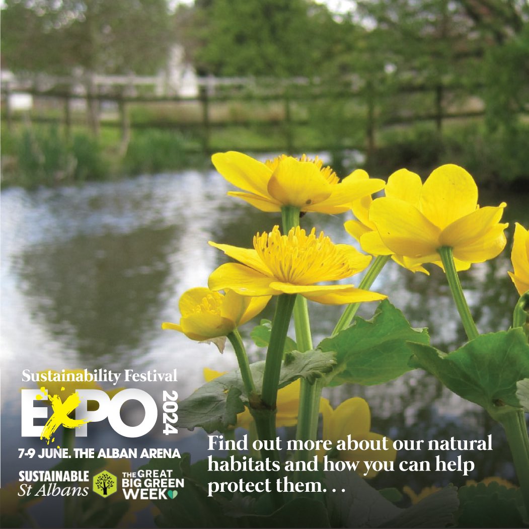 The Expo is the perfect opportunity to engage with what local groups are doing to help drive the sustainability & ecological message The @VerValleySoc are just one of those organisations attending and will be highlighting their ongoing project to preserve these rare habitats.