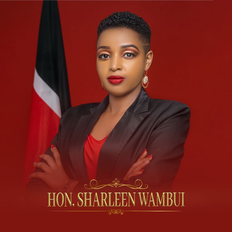 Murang'a County MCA @SharleenWambui9 is a leader who is Passionate about Youth and Women Empowerment. 

As a Youth, I endorse her as my Youth Champion. 

Vote for her under the Youth Empowerment Category👇

shorturl.at/fnRV3 

#Vote4MCASharleenWambui 
Jambo List Awards